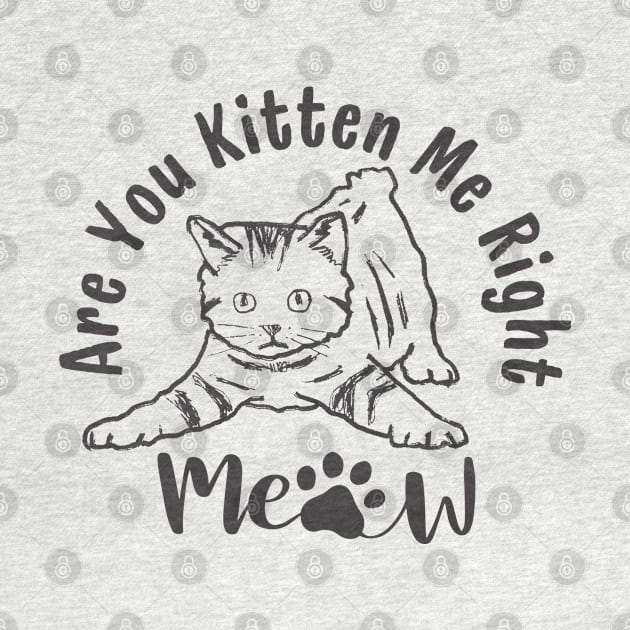 Are You Kitten Me Right Meow Funny Cat Lover Quote by Illustradise